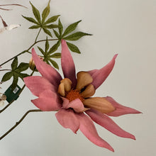 Afbeelding in Gallery-weergave laden, Silk-ka Boeket Rainbow Beauty L // Abonnement