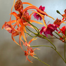 Afbeelding in Gallery-weergave laden, Silkka kunstbloemen abonnement Bloemigs Atelier Nijmegen