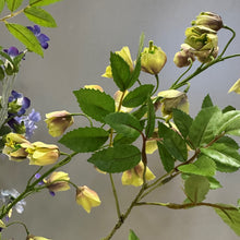 Afbeelding in Gallery-weergave laden, Kunstbloemen boeket Silk-ka Blue Serenity_1 zijden bloemen Nijmegen, bloemings Atelier