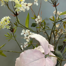 Afbeelding in Gallery-weergave laden, Silkka zijden bloemenboeket Boeket Frosted Elegance L // Abonnement Bloemings Atelier Nijmegen