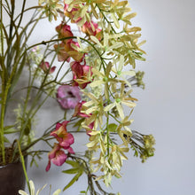 Afbeelding in Gallery-weergave laden, Boeket Wisteria Silk-ka XL // Abonnement