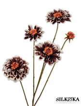 Afbeelding in Gallery-weergave laden, Zinnia Kunstbloem bruin 90cm Silk-ka