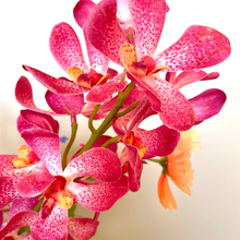 Afbeelding in Gallery-weergave laden, Boeket Triple bont Silk-ka L // Abonnement via Bloemings Atelier