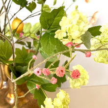 Afbeelding in Gallery-weergave laden, Tuitvaas Secret Garden