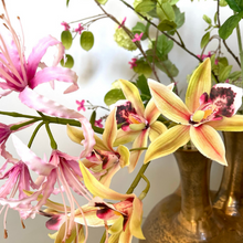 Afbeelding in Gallery-weergave laden, Tuitvaas Secret Garden