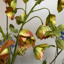 Afbeelding in Gallery-weergave laden, Kunstboeket, kunstbloemen, nijmegen, silkka