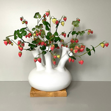 Afbeelding in Gallery-weergave laden, Tuitvaas Strawberry Silk-ka