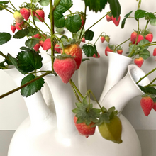 Afbeelding in Gallery-weergave laden, Tuitvaas Strawberry Silk-ka