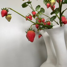 Afbeelding in Gallery-weergave laden, Tuitvaas Strawberry Silk-ka