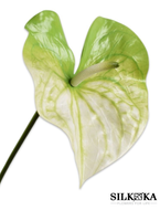 Anthurium kunstbloem groenwit 81 cm Silk-ka