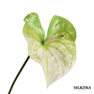 Anthurium kunstbloemen groen/wit 81 cm Silk-ka_Bloemings Atelier Nijmegen
