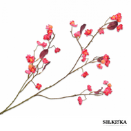  Bessentak Beauty 93 cm_Silk-ka