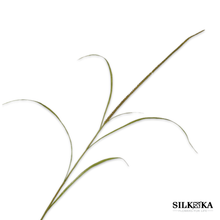 Afbeelding in Gallery-weergave laden, kunsttak Gras groen 130cm Silk-ka
