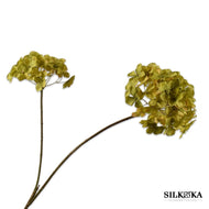 Hortensia kunstbloemen groen 85cm Silk-ka Bloemings Atelier Nijmegen
