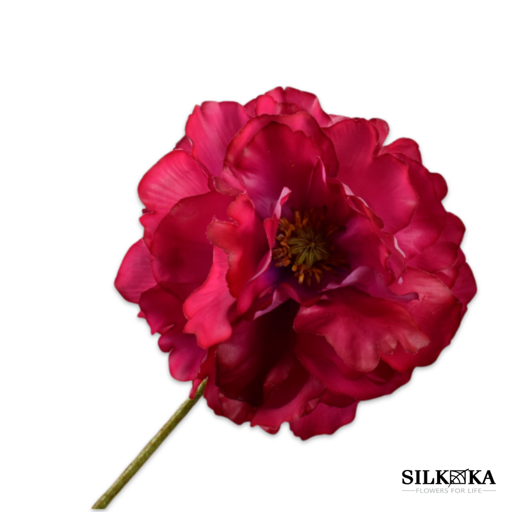 Silkka klaproos bloemen Nijmegen