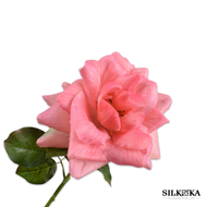 Roos kunstbloem perzik 70cm Silk-ka zijden bloemen Bloemings Atelier Nijmegen