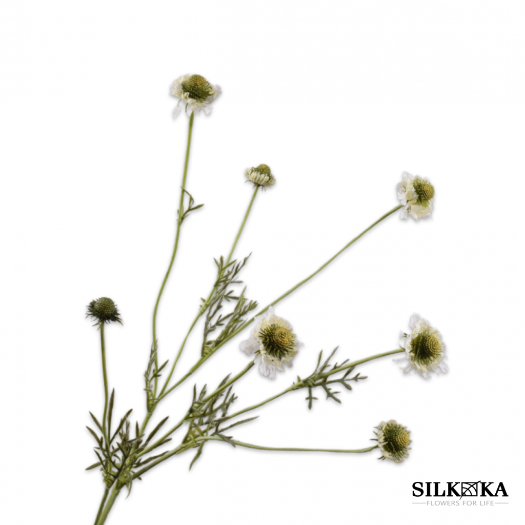 Scabriosa tak creme 89 cm Silk-ka