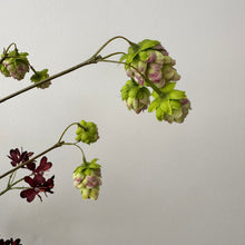 Afbeelding in Gallery-weergave laden, Silk-ka_kunstboeket_Twin Essence_1_bloemings atelier Nijmegen
