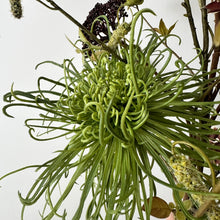 Afbeelding in Gallery-weergave laden, Silk-ka Kunstboeket Wild Botanique // Silk-ka 3
