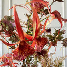 Afbeelding in Gallery-weergave laden, Zijden Pure Serenity Silk-ka Bloemings Atelier Nijmegen
