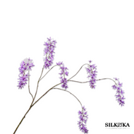 Wisteria Silkka takken