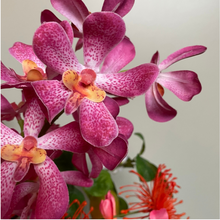 Afbeelding in Gallery-weergave laden, Kunstbloemen, silkka, zijden bloemen, bloemings, abonnement
